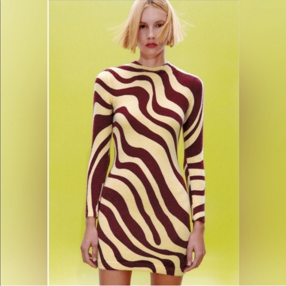 Zara Jacquard Knit Mini Dress